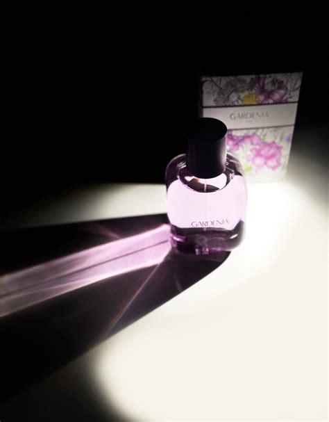 Gardenia 2021 Zara perfume .